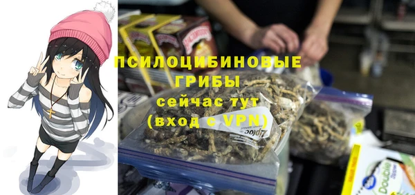 хмурый Волоколамск